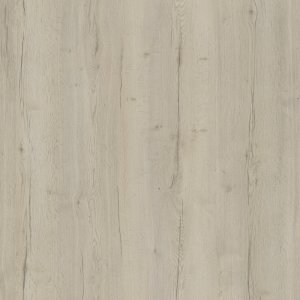 Halifax hrast bijeli